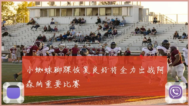 小蜘蛛脚踝恢复良好将全力出战阿森纳重要比赛